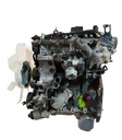 MTD-503909-1