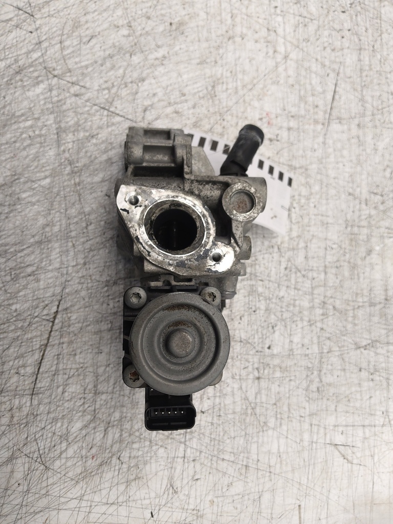 MTD-518317-1