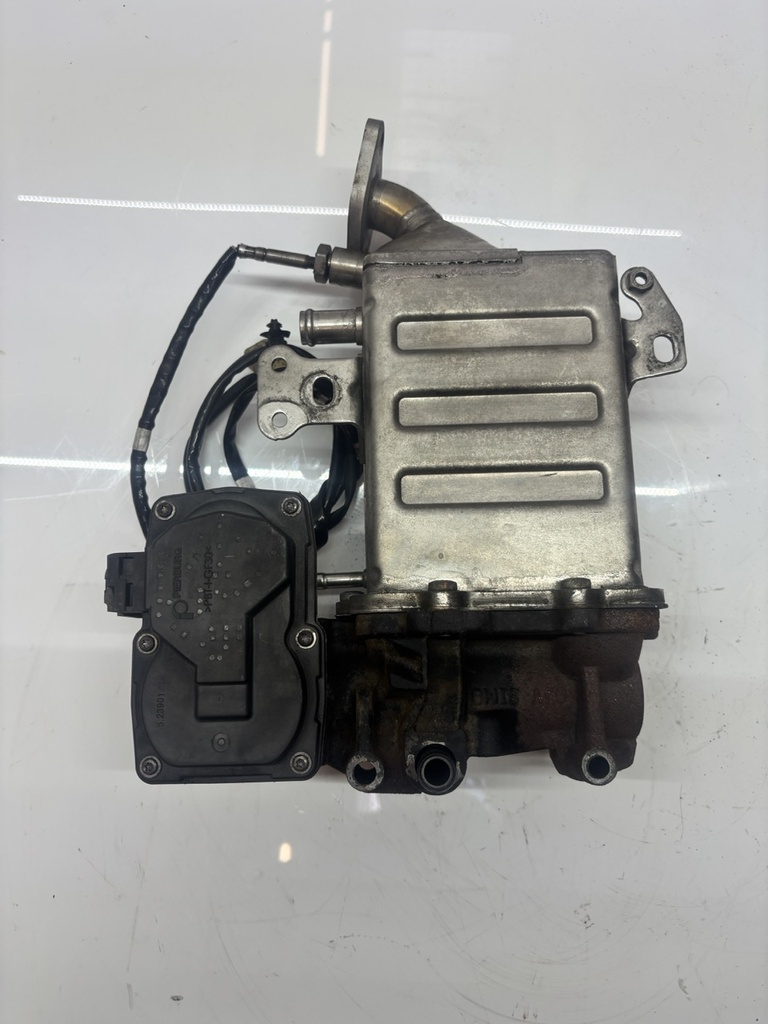 MTD-501516-1