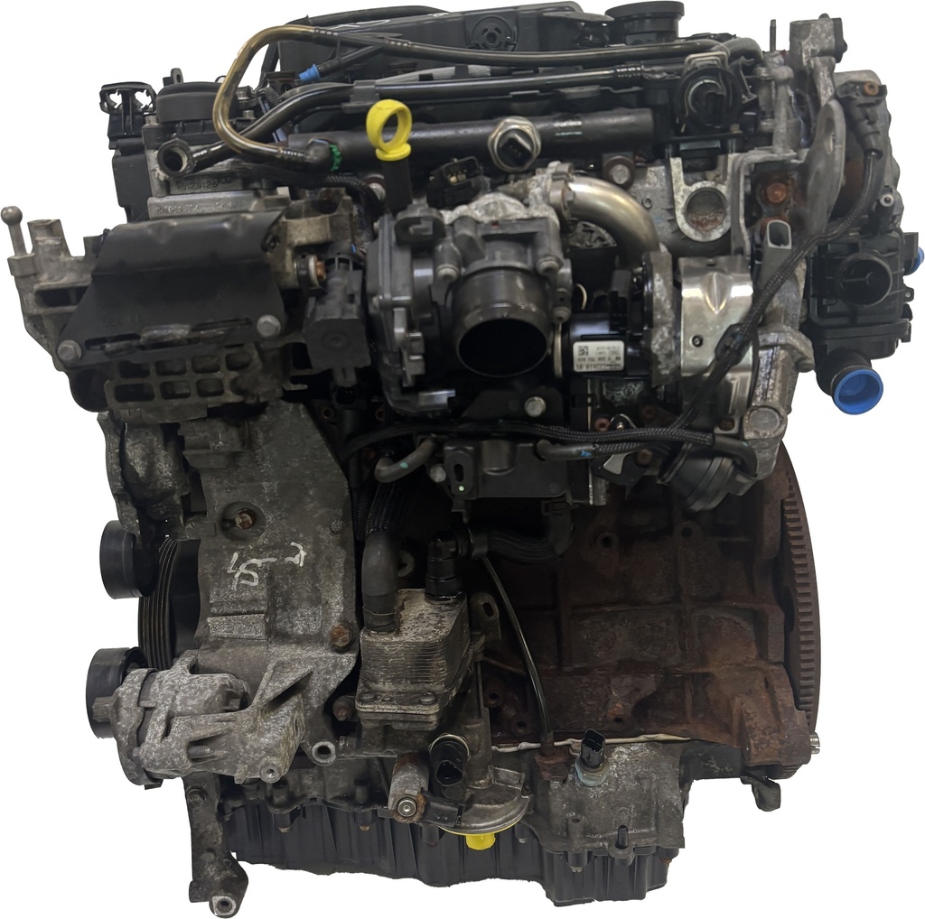 MTD-491738-2