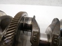 MTD-424675-2
