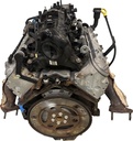 MTD-494755-2