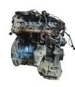 MTD-495913-1