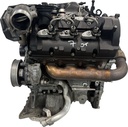 MTD-497785-2