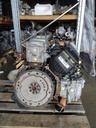 MTD-515908-5
