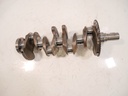 MTD-446897-1
