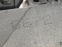 STARK-556072-2