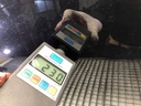 STARK-575735-6