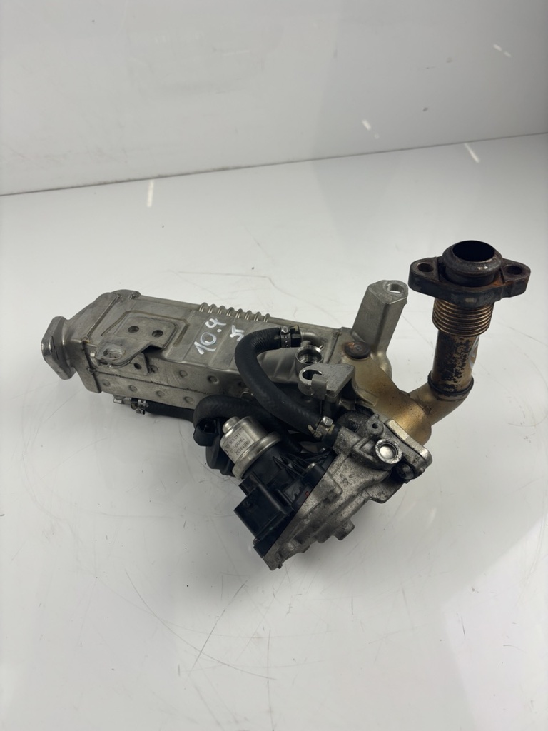 MTD-438558-1