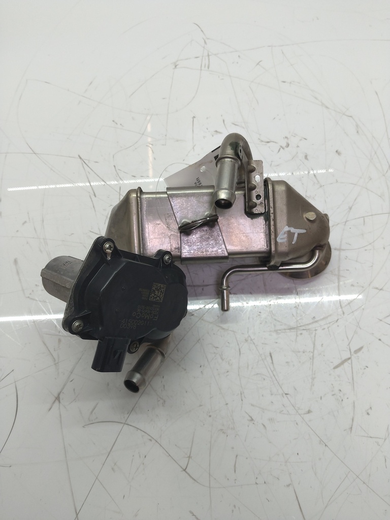MTD-513441-1