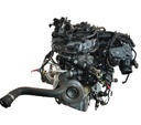 MTD-504542-1