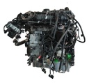 MTD-504542-2