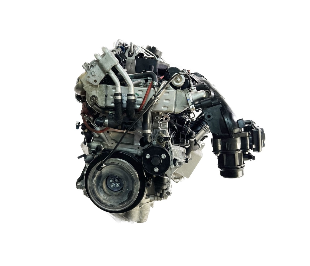 MTD-383981-1