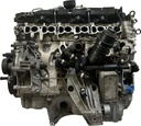 MTD-449505-1