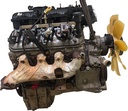 MTD-504582-2
