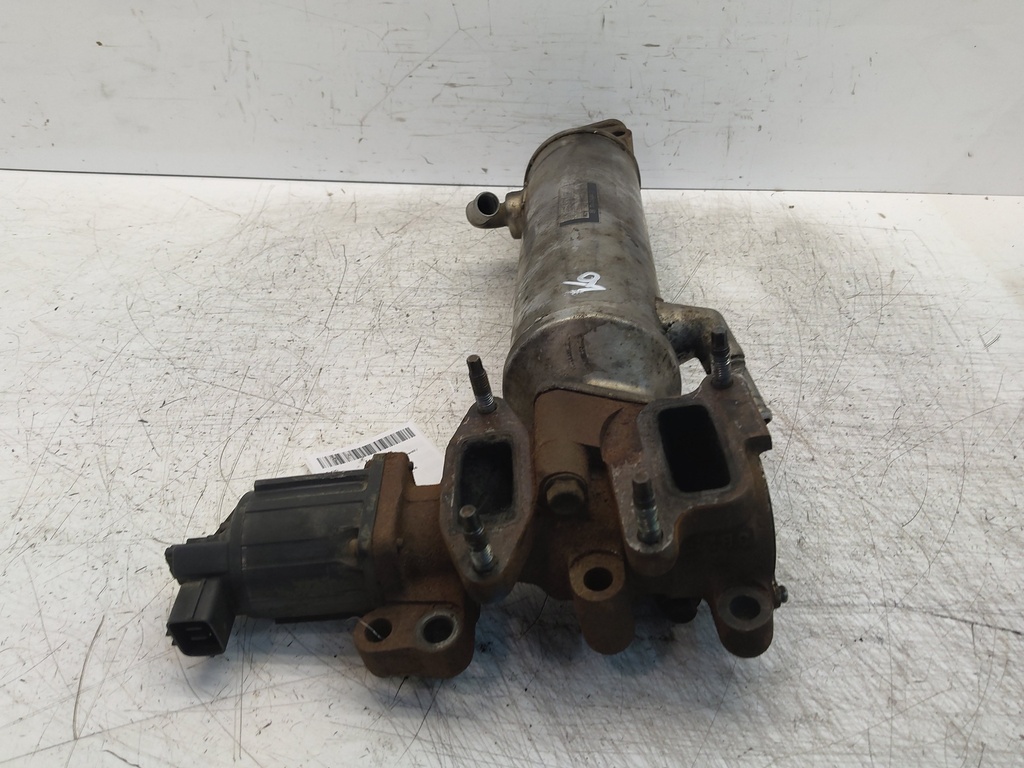 MTD-515544-1