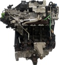 MTD-496603-3
