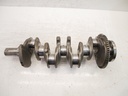MTD-439638-1