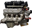 MTD-488404-1