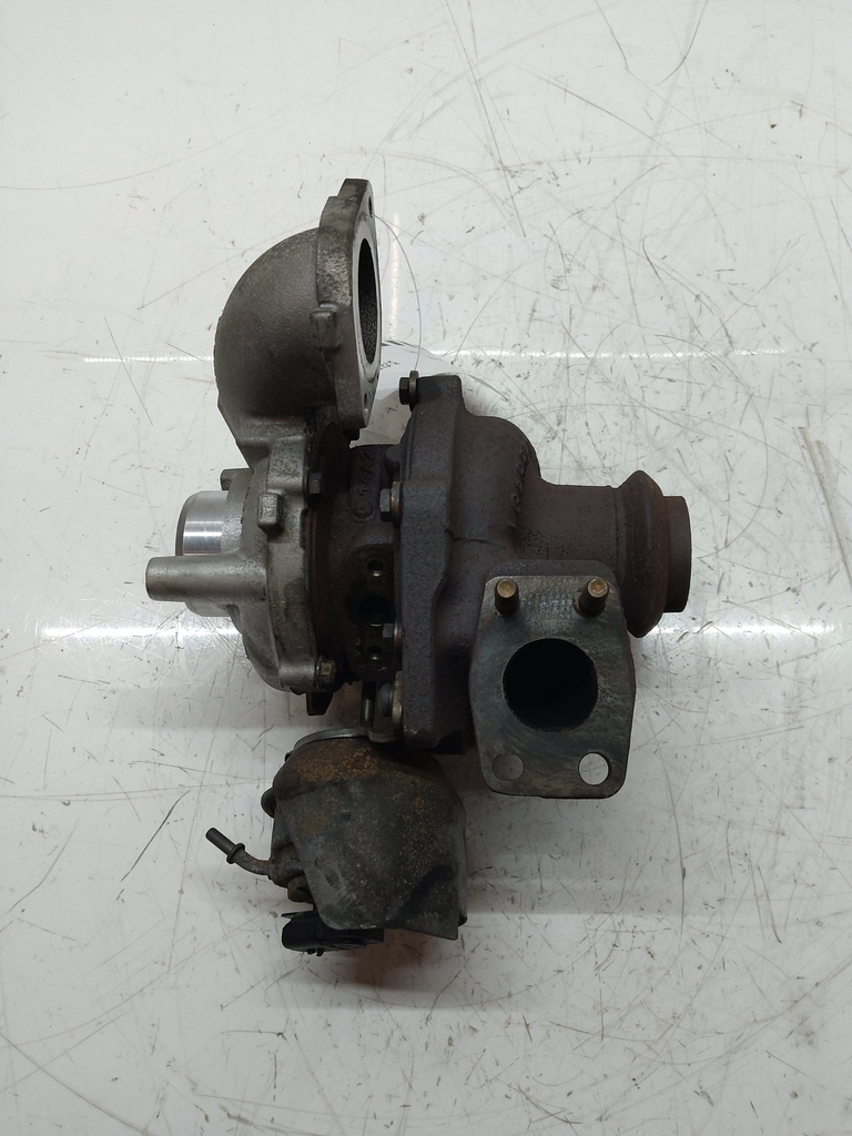 MTD-517317-1