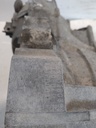MTD-515238-1