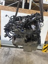 MTD-518723-2