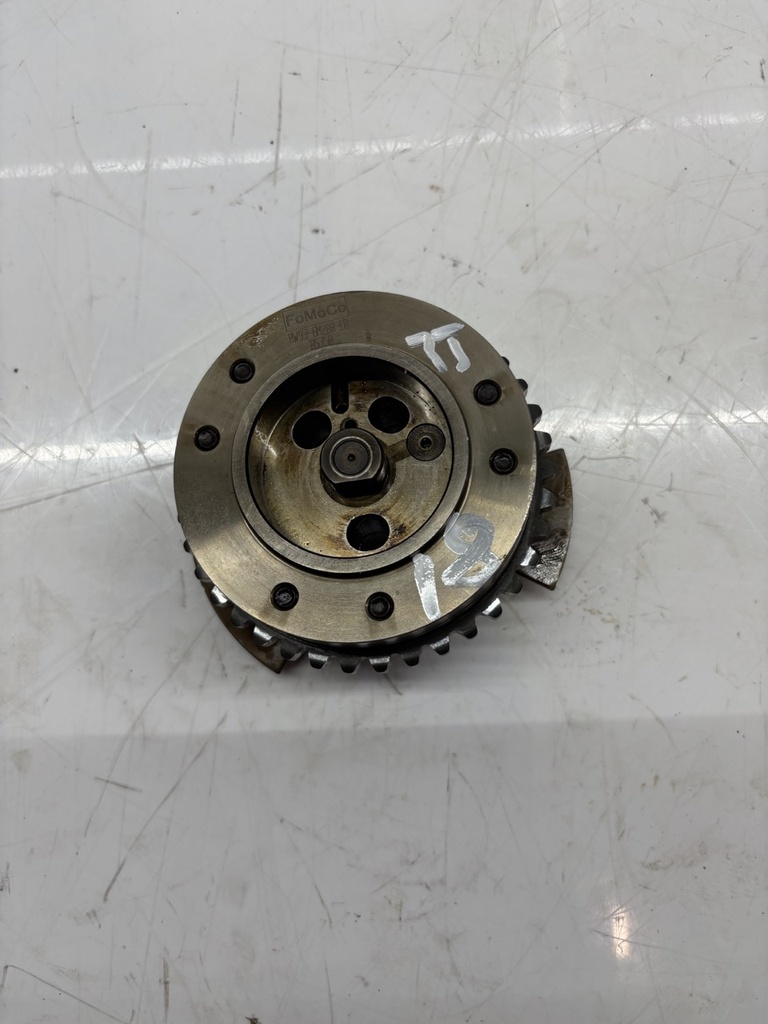 MTD-447237-1