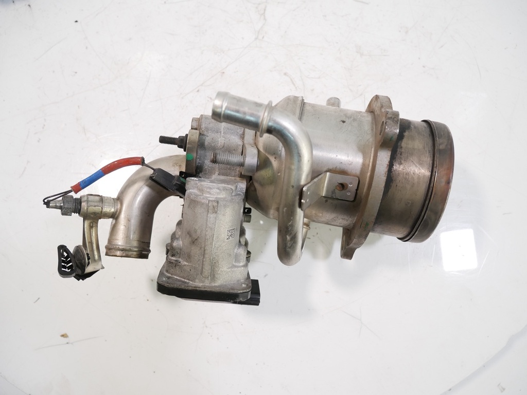 MTD-446325-1