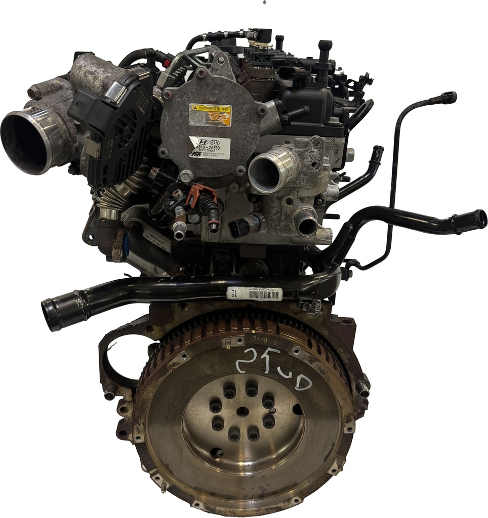 MTD-496704-1