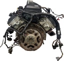 MTD-490976-1