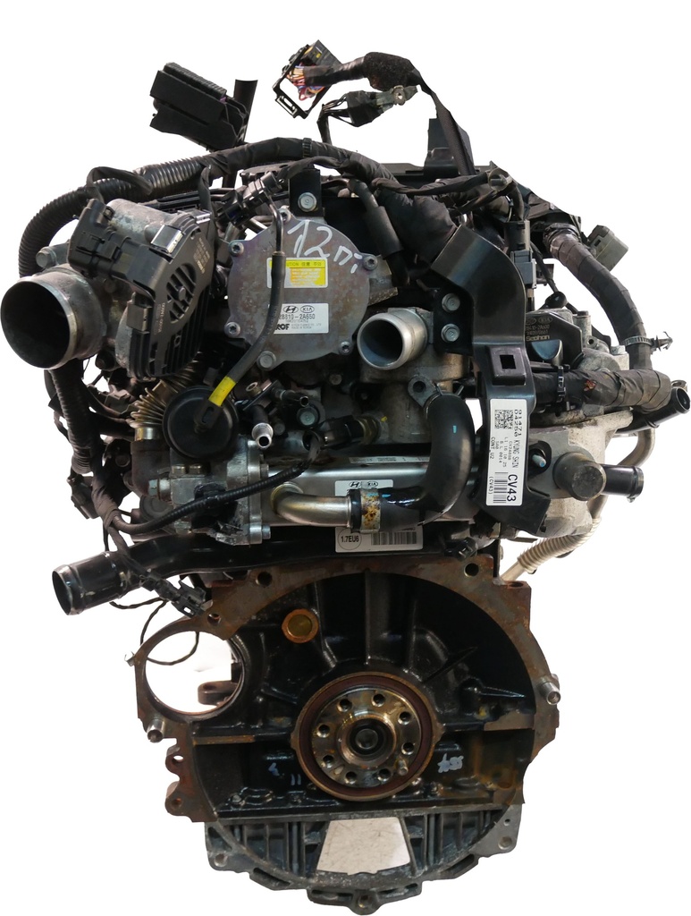 MTD-436193-1