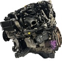 MTD-438788-2