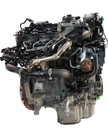 MTD-428919-1