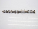 MTD-428831-1