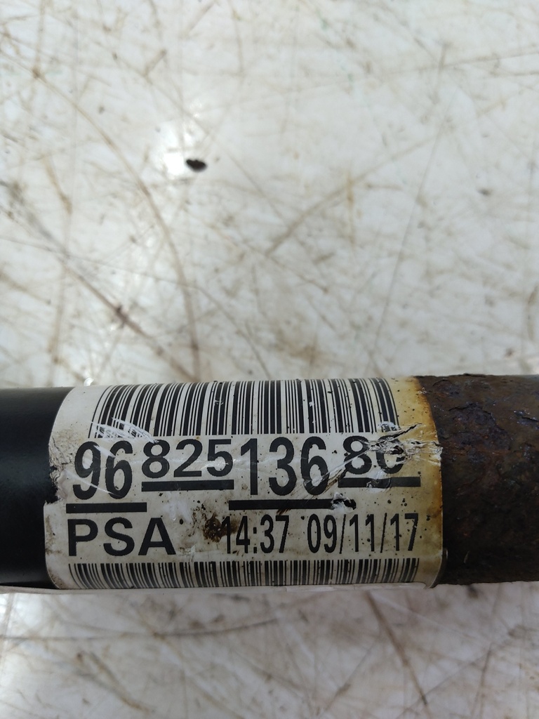 MTD-518429-2