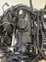 MTD-509794-2