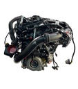 MTD-397052-1