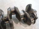 MTD-498836-1
