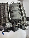 MTD-504518-1