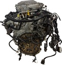MTD-490899-2
