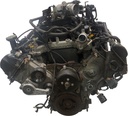 MTD-490947-2