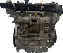 MTD-467008-1