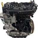 MTD-477322-1