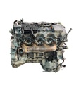 MTD-404492-1