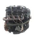 MTD-411194-1