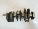 MTD-494676-1