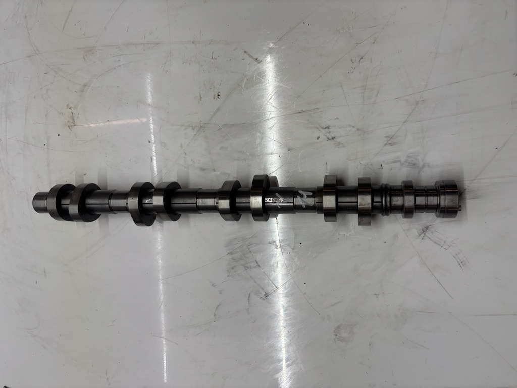 MTD-494884-1