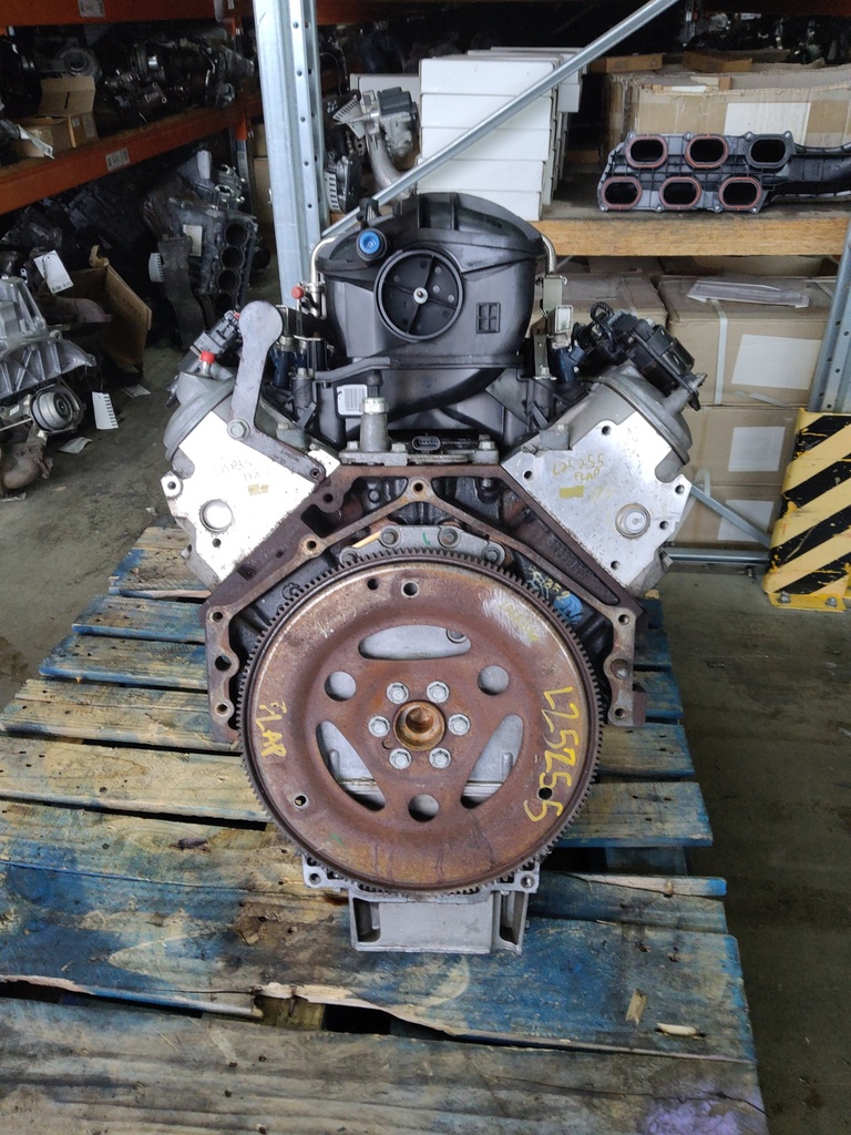 MTD-516623-1