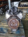 MTD-516623-1