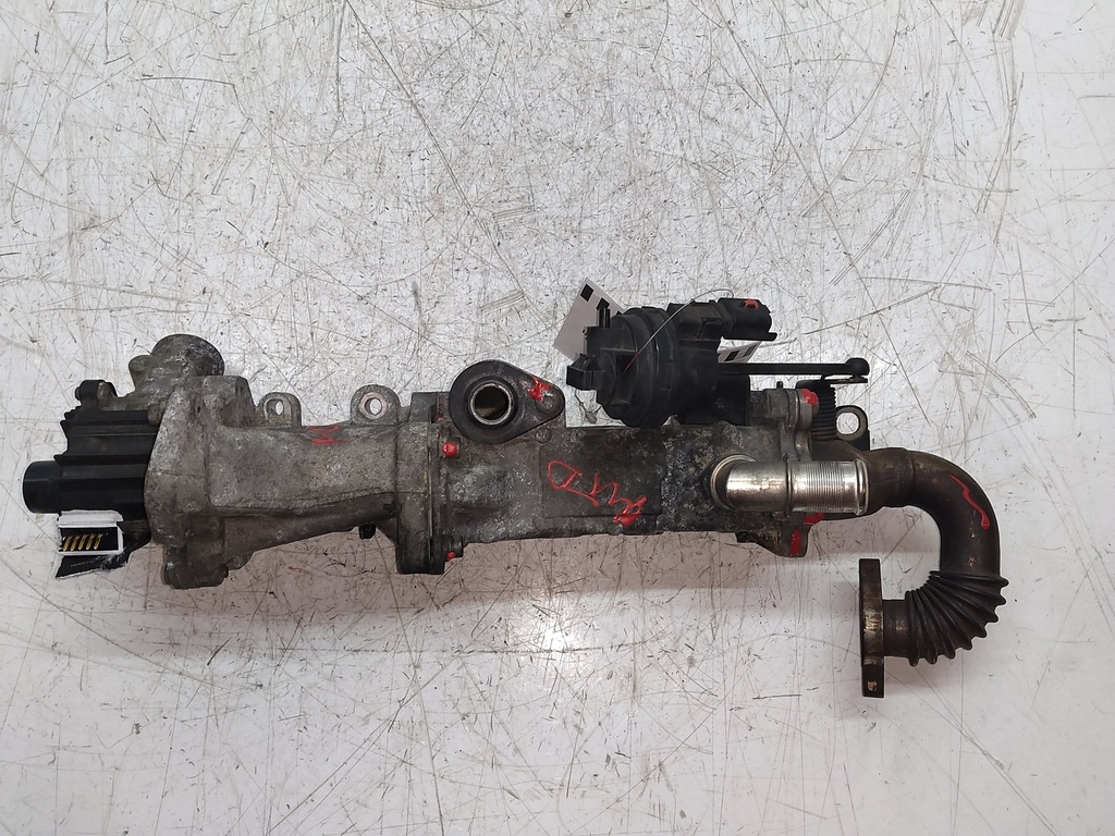 MTD-445135-2